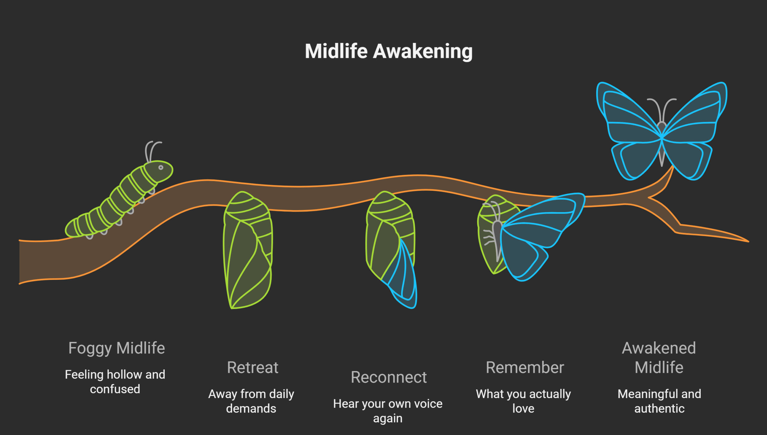 An illustration of The Midlife Awakening You Did Not Know You Needed when you attend wellness retreats for women